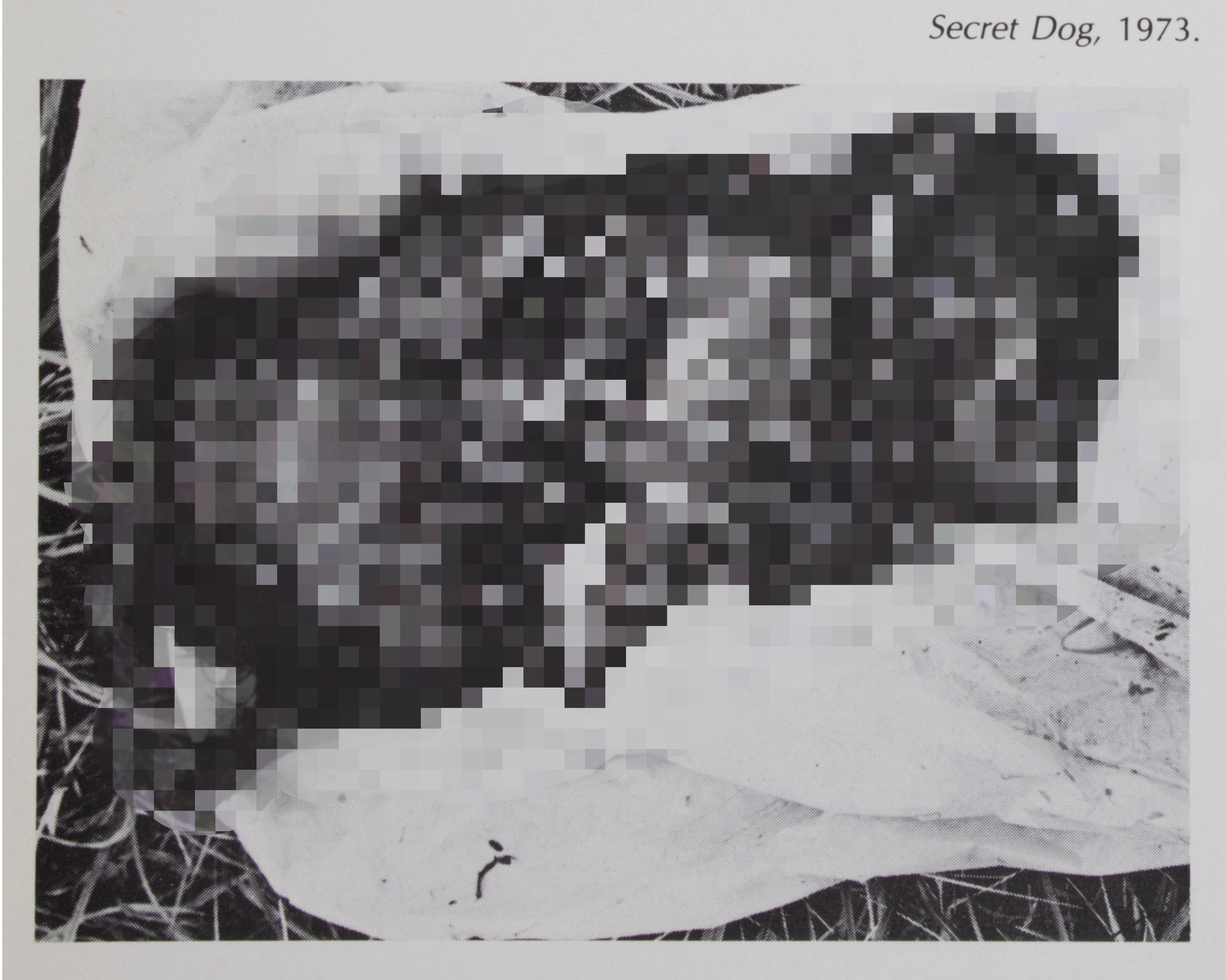 Evidence related to Crimson Canvas