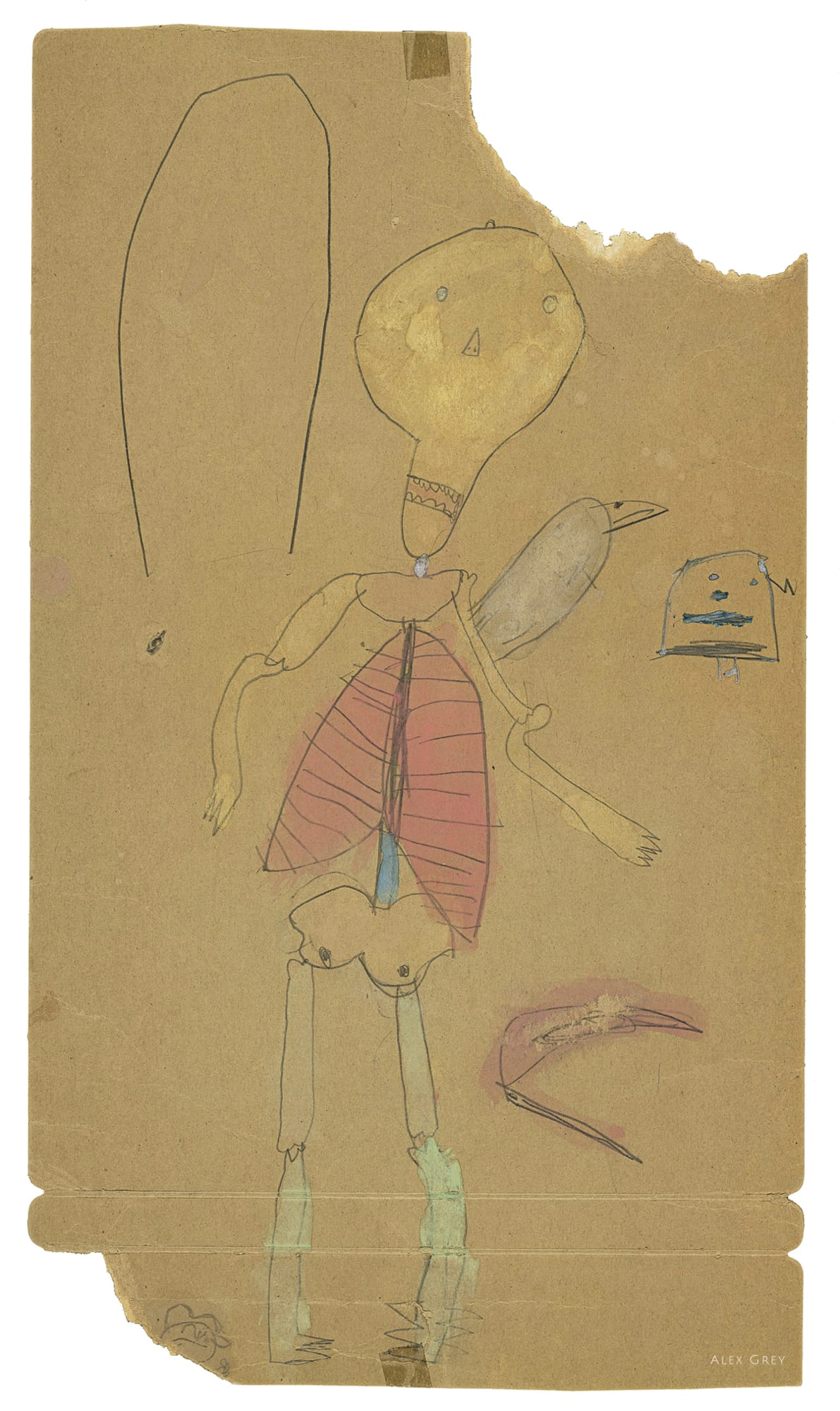 Alex Grey, holding a brain.